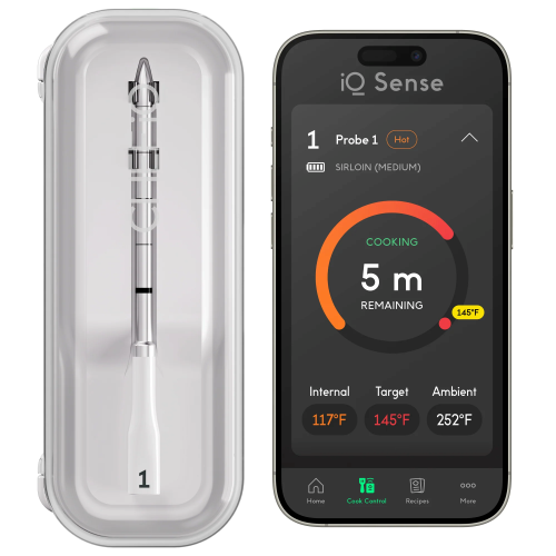 Chef iQ Sense Smart Wireless Thermometer Review image
